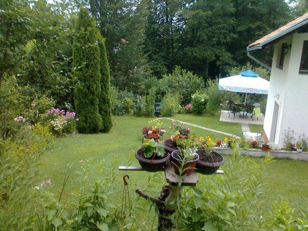 Ab Apartments Zlatibor Bagian luar foto