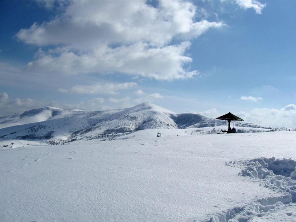 Ab Apartments Zlatibor Bagian luar foto
